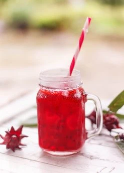 Sow Exotic Florida Cranberry (Hibiscus Sabdariffa)