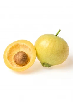 Sow Exotic Rose Apple (Syzygium Jambos)