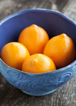 Sow Exotic Tropical Fruit & Spice Trees Meyer Lemon (Citrus × Meyeri) 15 Sow Exotic Tropical Fruit & Spice Trees Meyer Lemon (Citrus × Meyeri)