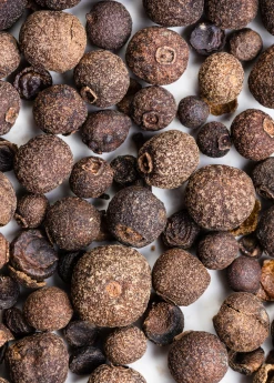 Sow Exotic Tropical Fruit & Spice Trees Allspice (Pimenta Dioica)