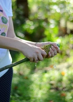 Sow Exotic New Arrivals Awapuhi Shampoo Ginger Flower Cones 5 Sow Exotic New Arrivals Awapuhi Shampoo Ginger Flower Cones