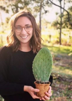 Sow Exotic Rare Fruiting Plants Nopales Cactus (Opuntia Matudae)