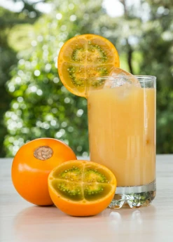 Sow Exotic Lulo, Naranjilla (Solanum Quitoense) Rare Fruiting Plants