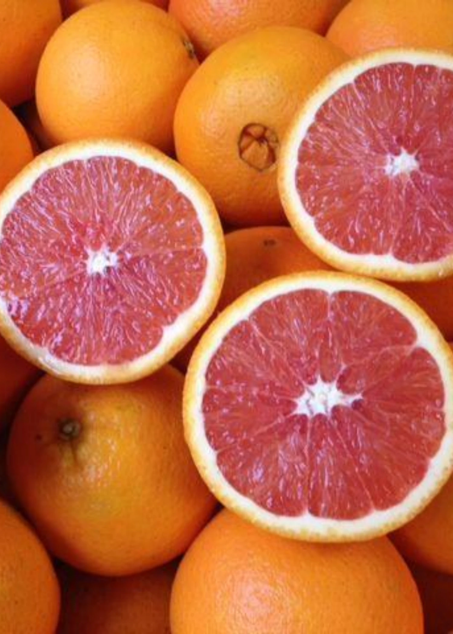 Sow Exotic Tropical Fruit & Spice Trees Cara Cara Red Navel Orange (Citrus Sinensis) 2 Sow Exotic Tropical Fruit & Spice Trees Cara Cara Red Navel Orange (Citrus Sinensis)