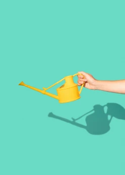 Terrebonne Haws Handy Watering Can Garden Tools