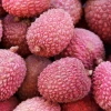Sow Exotic Tropical Fruit & Spice Trees Lychee 'Sweetheart' (Litchi Chinensis)