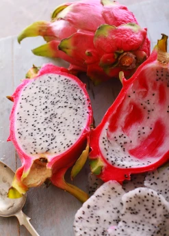 Sow Exotic Rare Fruiting Plants Dragon Fruit, White 'Vietnamese Jaina' (Hylocereus Undatus)