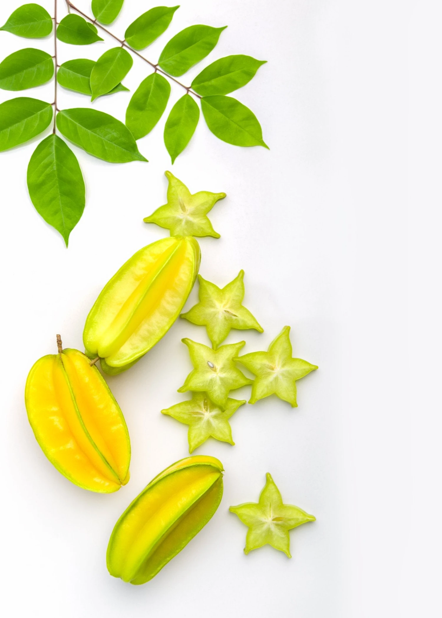 Sow Exotic Tropical Fruit & Spice Trees Star Fruit 'Kari' (Averrhoa Carambola)