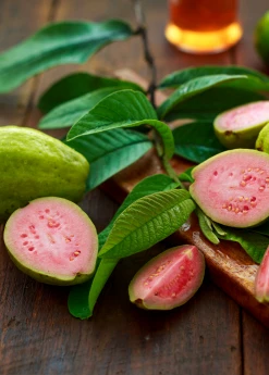 Sow Exotic Guava 'Barbie Pink' (Psidium Guajava) Tropical Fruit & Spice Trees