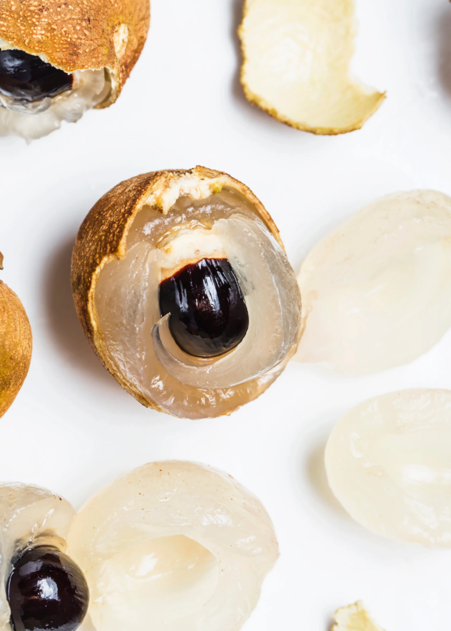 Sow Exotic Longan, 'Biew Kiew' (Dimocarpus Longan) Tropical Fruit & Spice Trees 2 Sow Exotic Longan, 'Biew Kiew' (Dimocarpus Longan) Tropical Fruit & Spice Trees