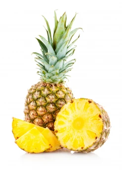 Sow Exotic Pineapple 'Elite Gold' (Ananas Comosus)