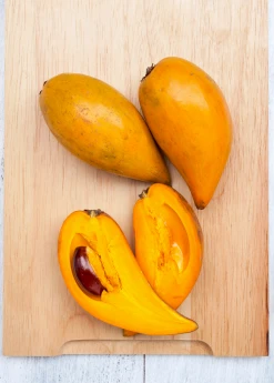 Sow Exotic Canistel 'Fairchild #2' (Pouteria Campechiana) Tropical Fruit & Spice Trees