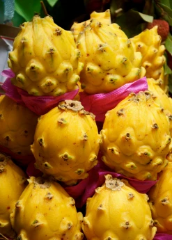 Sow Exotic Dragon Fruit, Yellow (Selenicereus Megalanthus)