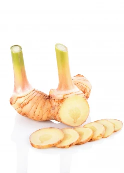 Sow Exotic Greater Galangal (Alpinia Galanga)