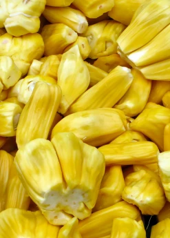 Sow Exotic Jackfruit 'Golden Nugget' (Artocarpus Heterophyllus) Tropical Fruit & Spice Trees 5 Sow Exotic Jackfruit 'Golden Nugget' (Artocarpus Heterophyllus) Tropical Fruit & Spice Trees