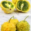 Sow Exotic Kiwano, Yellow Round (Cucumis Metuliferus)