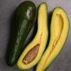 Sow Exotic Tropical Fruit & Spice Trees Avocado 'Russel' (Long Neck!) (Persia Americana)