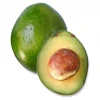 Sow Exotic Avocado 'Monroe' (Persia Americana)