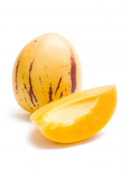 Sow Exotic Pepino Dulce (Solanum Muricatum) Rare Fruiting Plants