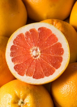 Sow Exotic Tropical Fruit & Spice Trees Ruby Red Grapefruit (Citrus × Paradisi)