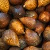 Sow Exotic Tropical Fruit & Spice Trees Snake Fruit (Salacca Zalacca)