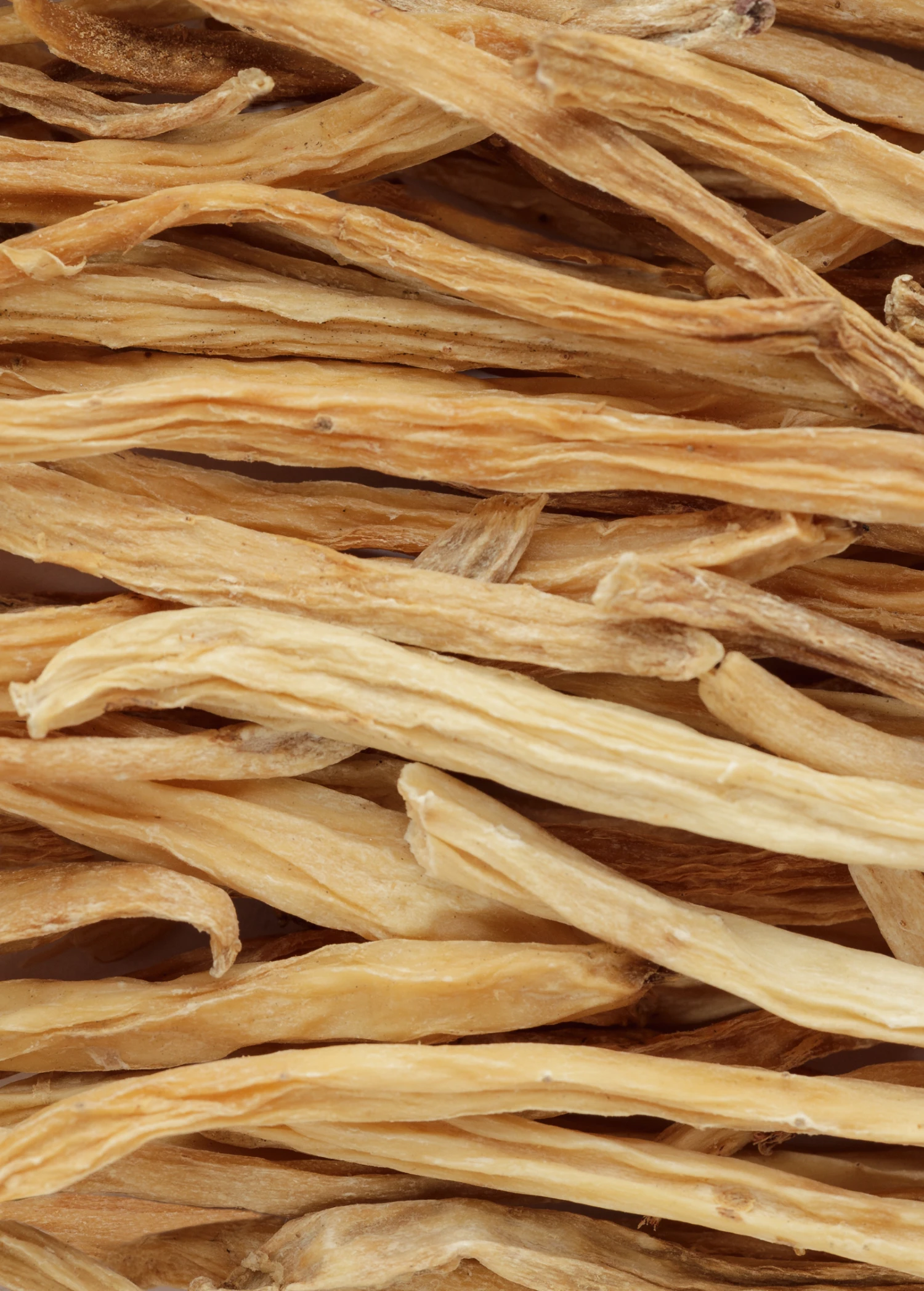 Sow Exotic Shatavari (Asparagus Racemosus) 2 Sow Exotic Shatavari (Asparagus Racemosus)