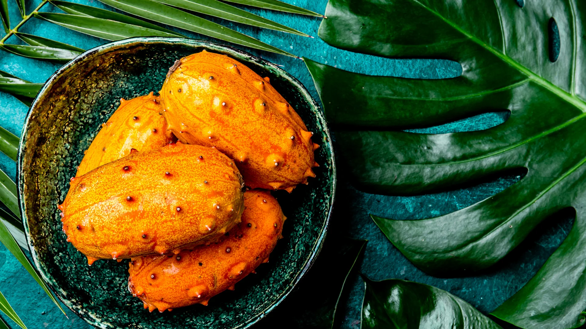 Deals Sow Exotic Store -Deals Sow Exotic Store